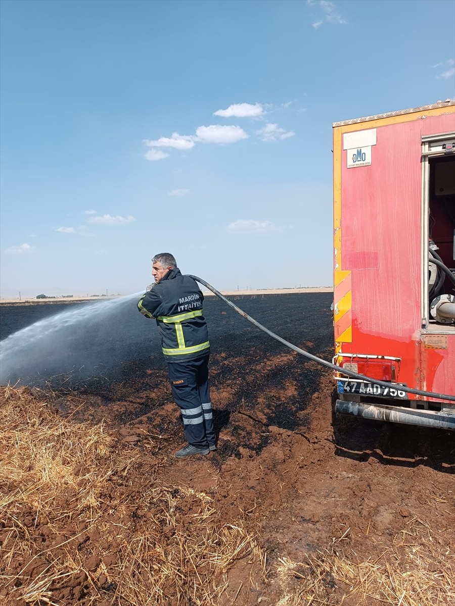 Mardin'in Derik ilçesinde yaklaşık 400 dekar buğday ekili alan çıkan yangın nedeniyle zarar...