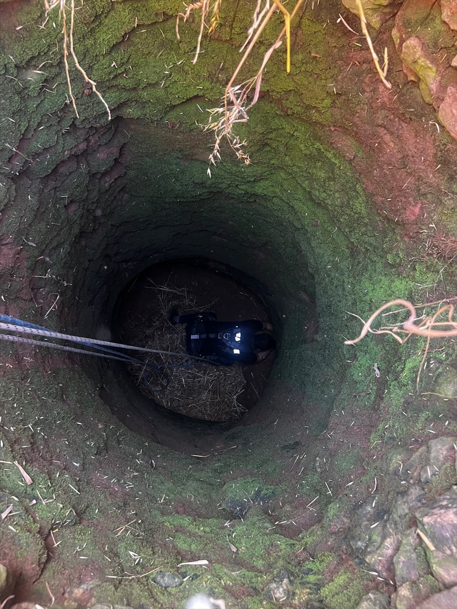 Mardin'in Kızıltepe ilçesinde kuyuya düşen koyun, itfaiye ekiplerince kurtarıldı.