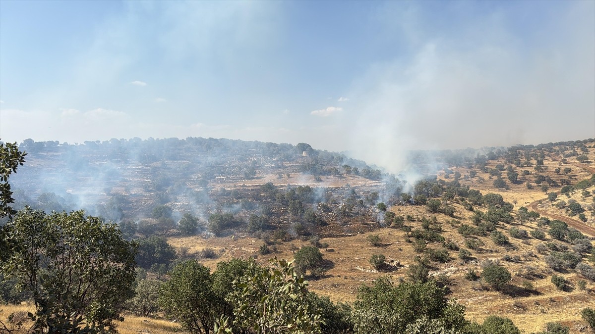 Mardin'in Nusaybin ilçesinde ormanlık alanda çıkan yangını söndürme çalışmaları...