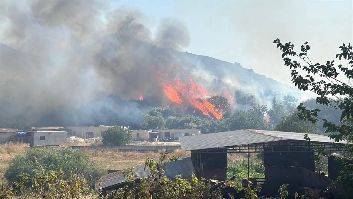 Muğla'nın Bodrum ilçesinde makilik alanda çıkan ve tarım bölgesine yayılan yangına havadan ve...