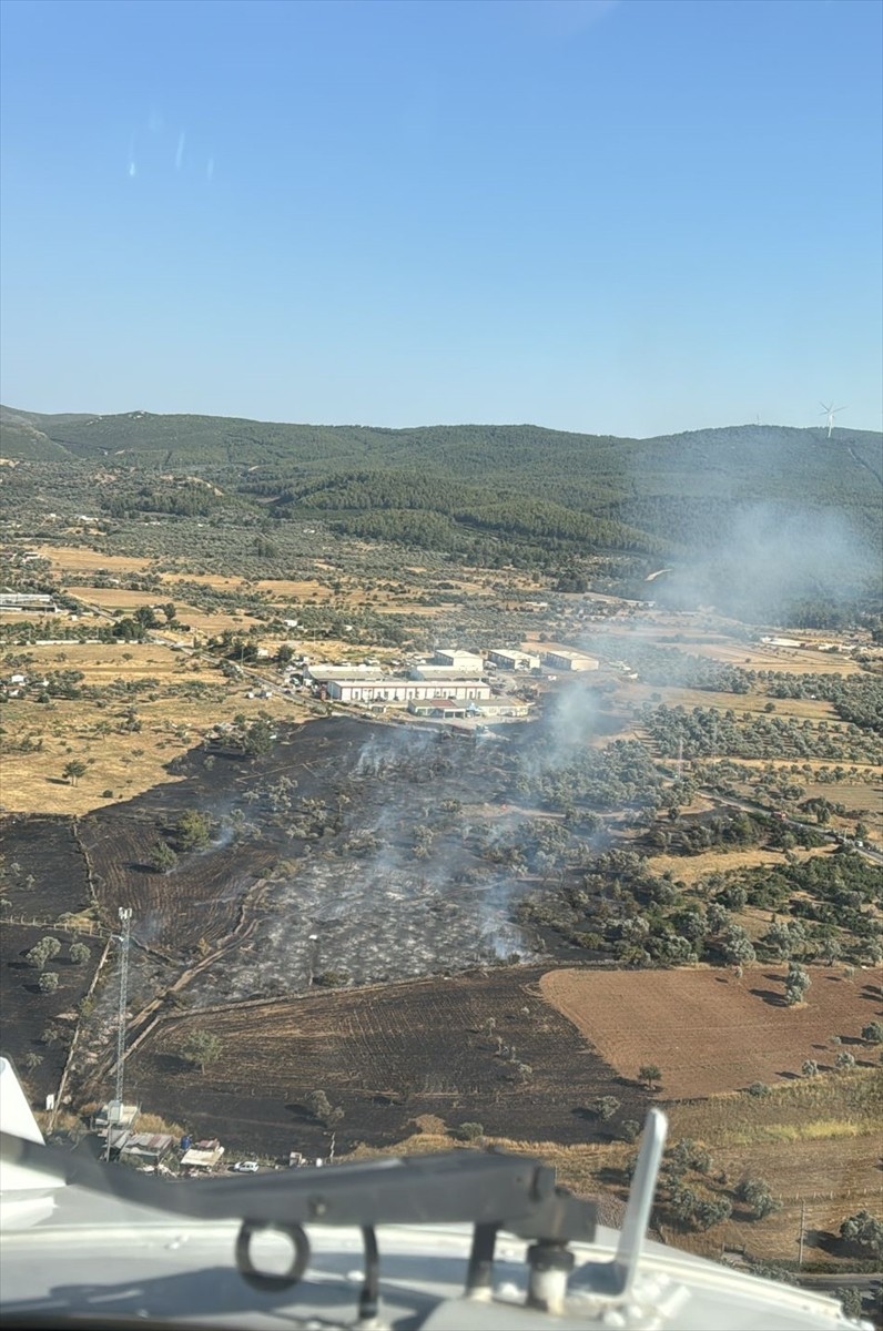 Muğla'nın Bodrum ilçesinde tarım arazisinde çıkan yangın söndürüldü.