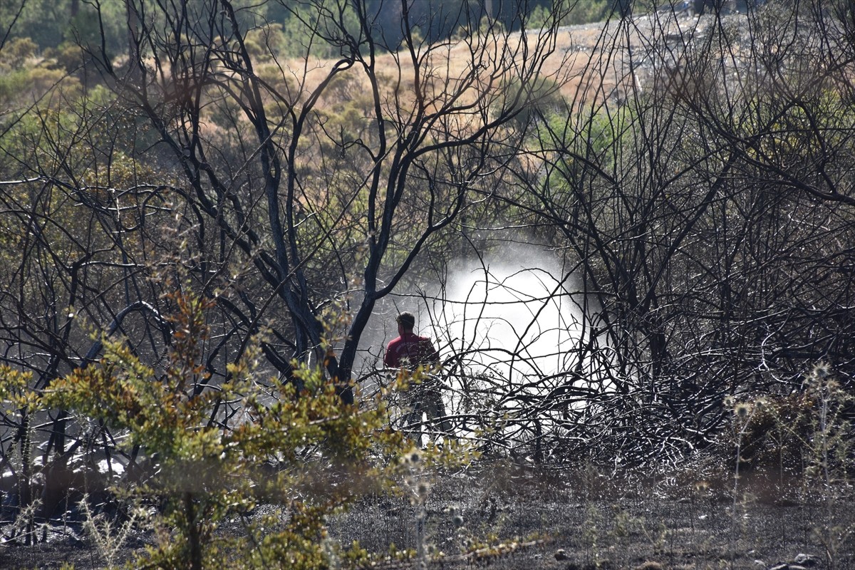 Muğla'nın Marmaris ilçesinde ziraat ve ormanlık alanda çıkan yangın, havadan ve karadan...