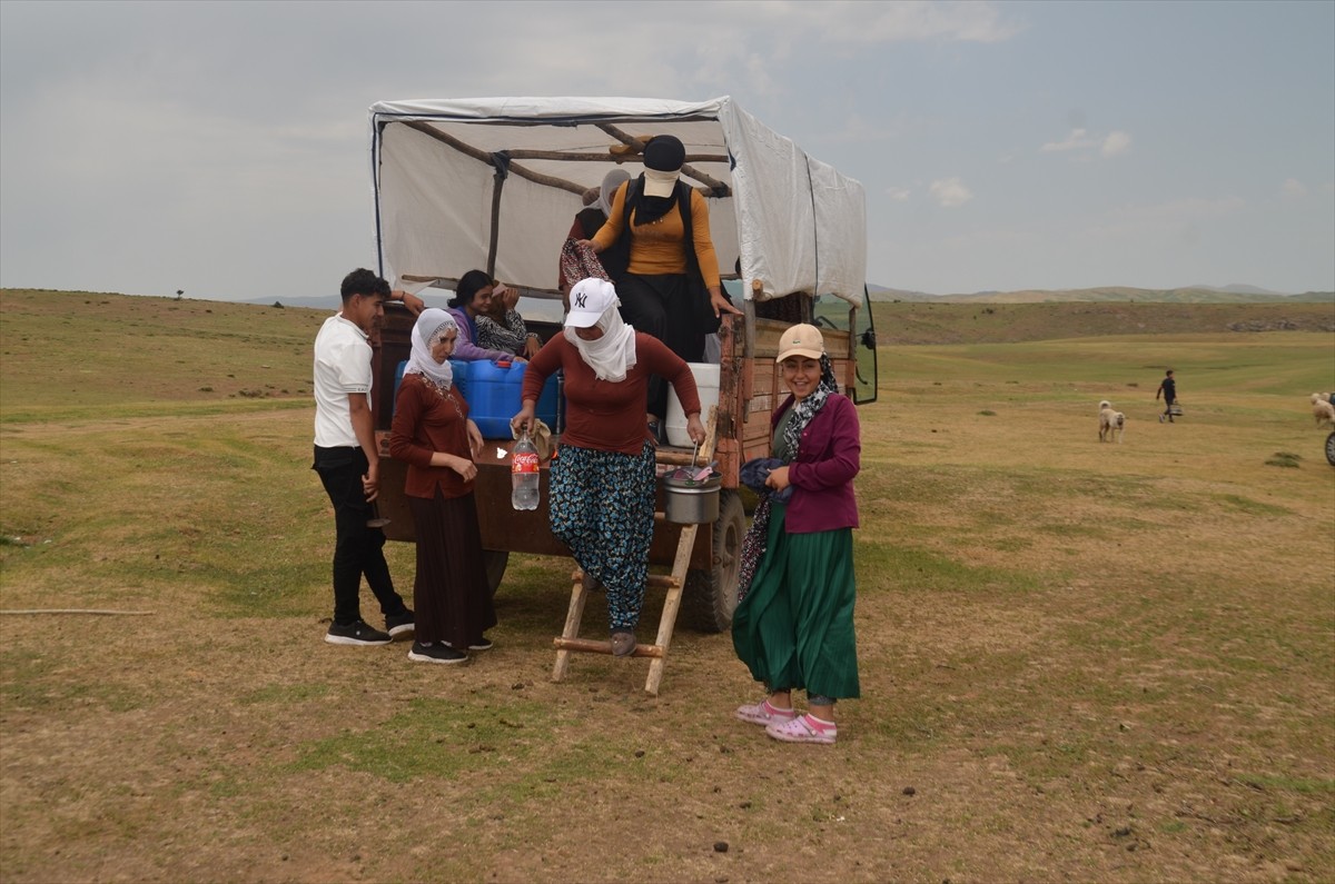 Muş'un Korkut ilçesi Altınova beldesinde berivanlar (hayvanları sağan kadın), merada otlatılan...
