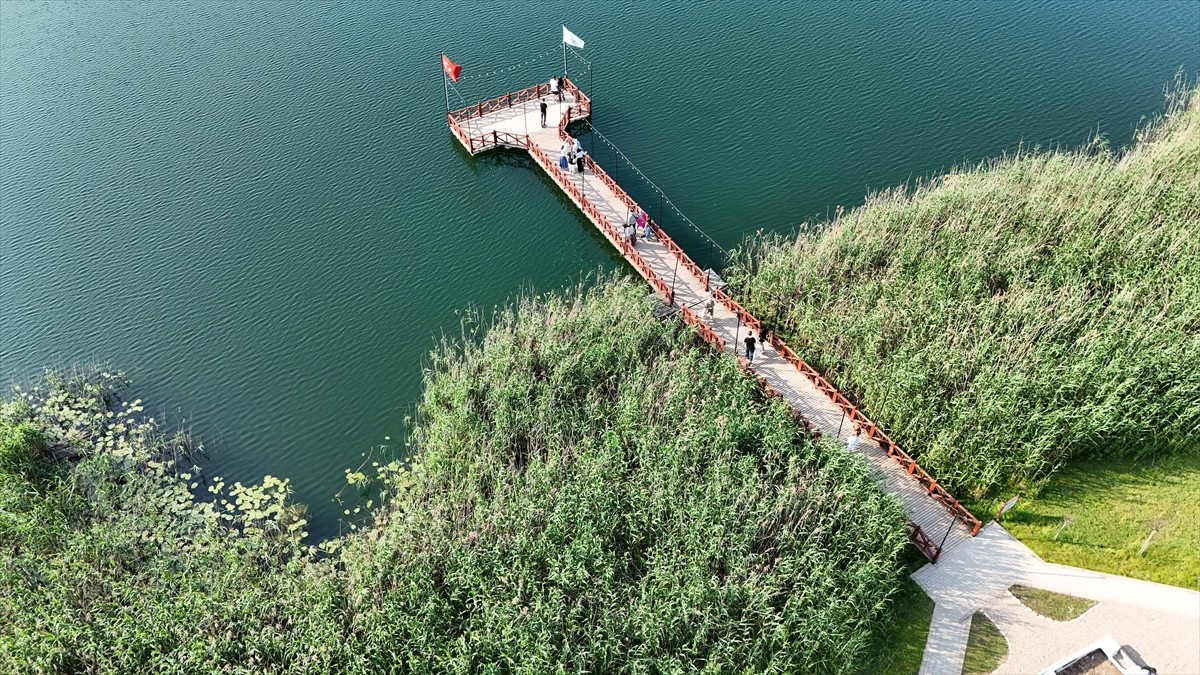 Ordu'da havaların ısınmasıyla yemyeşil örtüyle kaplanan Gaga Gölü'nde Kurban Bayramı tatili...