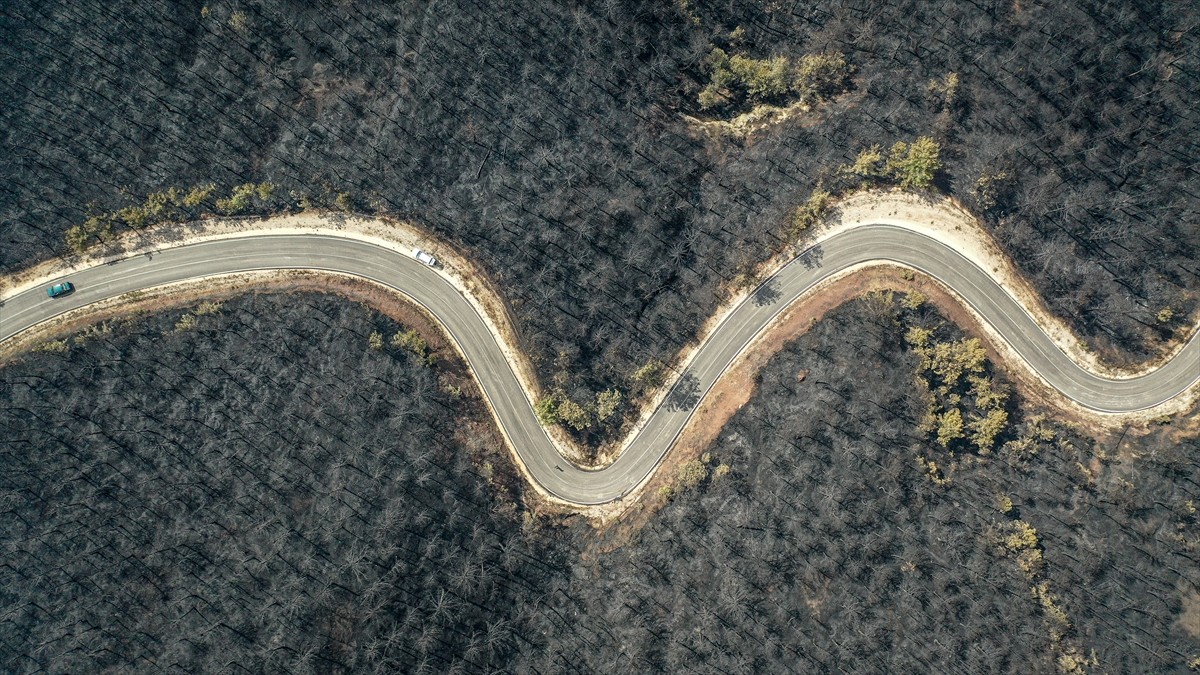 Sakarya'da ormanlık alanda başlayıp Bilecik tarafına sıçrayan yangında zarar gören alanlar dronla...