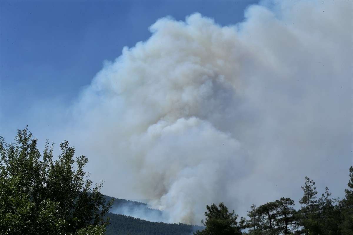 Sakarya'nın Taraklı ilçesinde çıkan orman yangınını kontrol altına almak için havadan ve karadan...