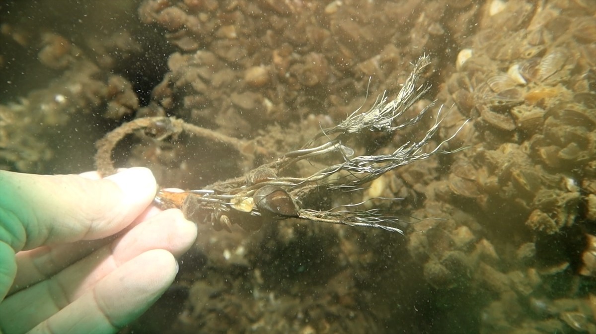 Sapanca Gölü'ne 1972'de düşen foto keşif uçağının enkazı, 53 yıl sonra gazeteci Hasan Coşkun...