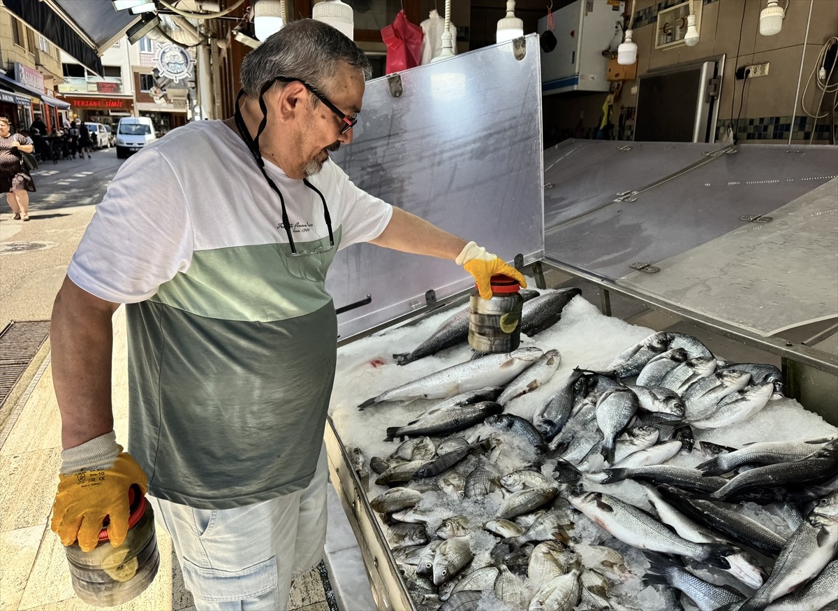 Sinop'ta av sezonunda balıkçılar tarafından avlanarak lakerda (tuzlu balık) yapılan palamutlar...