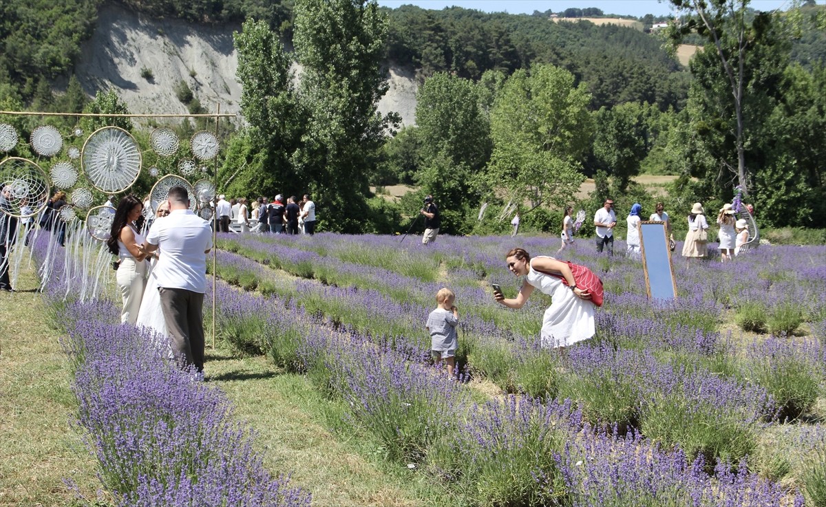 Sinop’ta, kadın girişimci tarafından 30 dönümlük arazi üzerine kurulan lavanta tarlasının kent...