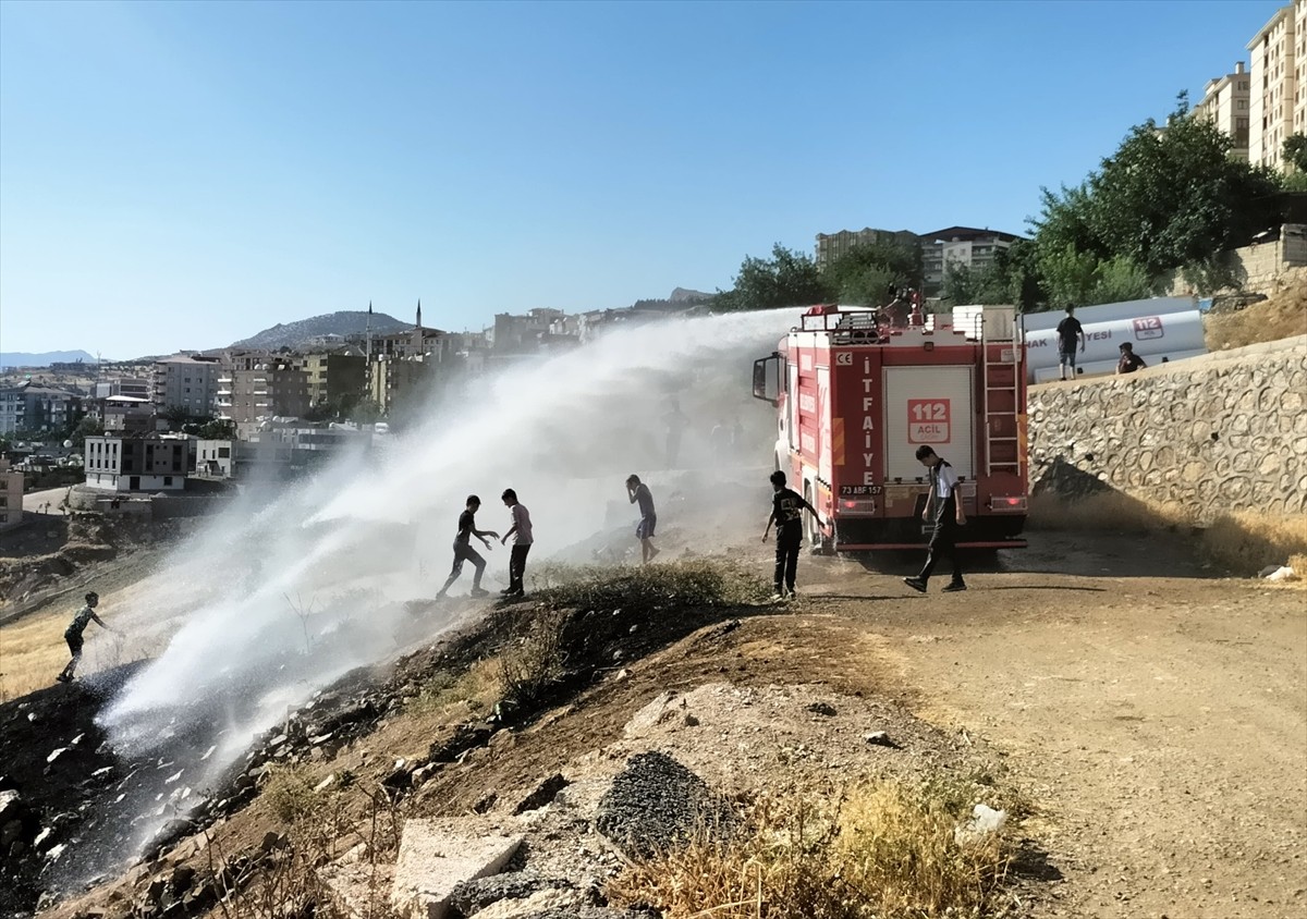 Şırnak'ın Cizre ilçesinde çıkan anız yangını söndürüldü.