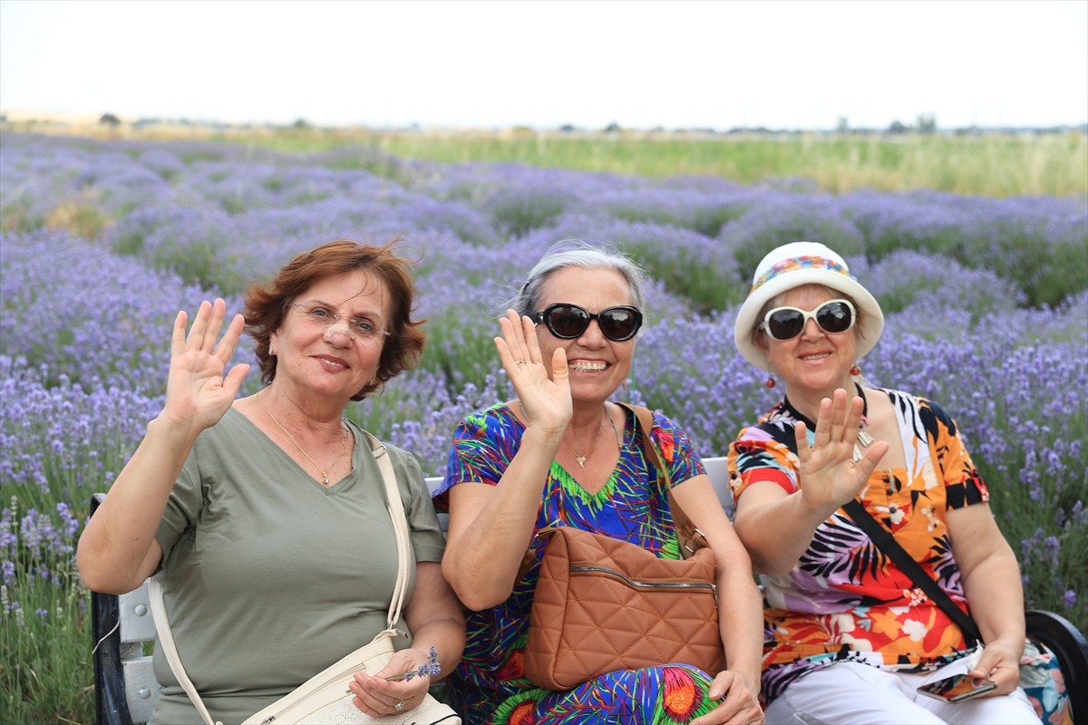Tarım ve Orman Bakanlığına bağlı Trakya Tarımsal Araştırma Enstitüsünün "8. Edirne Lavanta Tarla...