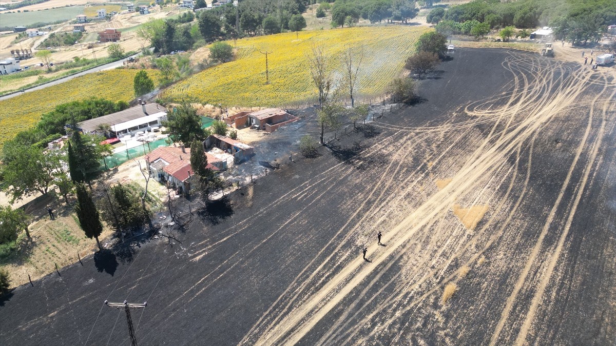 Tekirdağ'da buğday tarlasında başlayıp iki eve sıçrayan yangın söndürüldü.