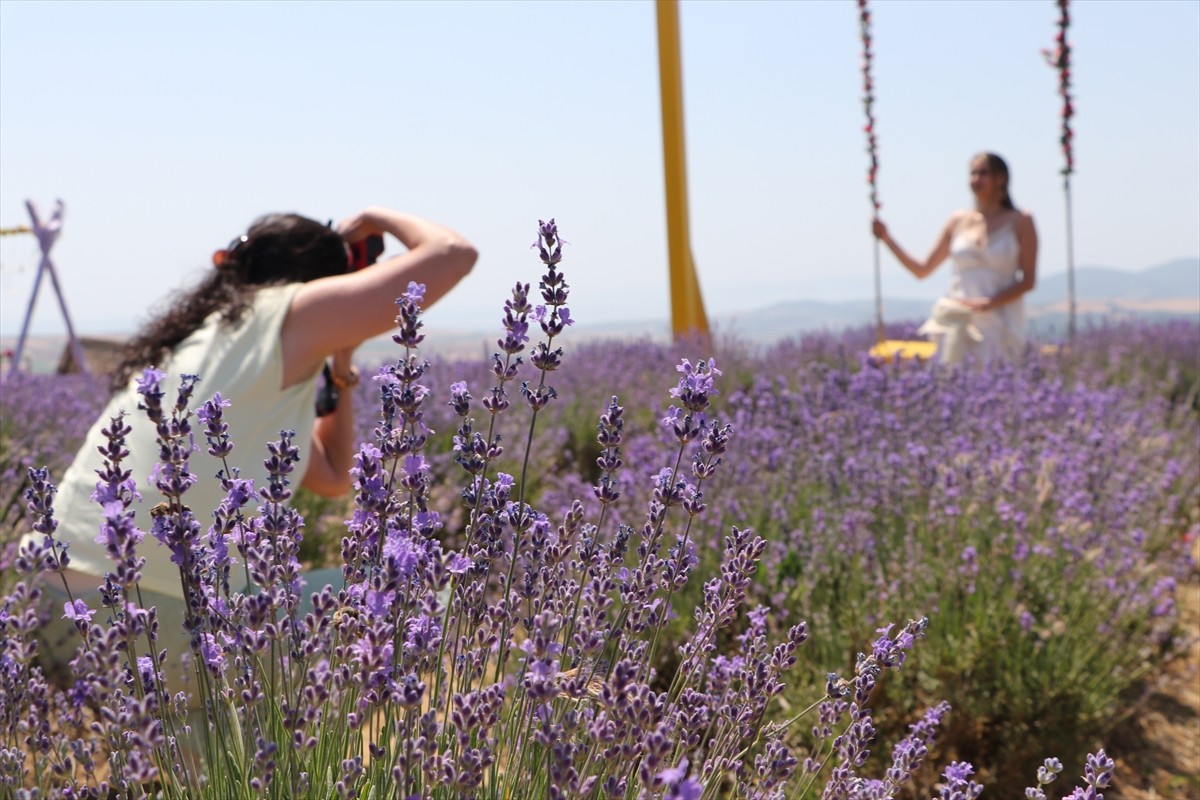 Tekirdağ'da, turistlerin ilgisini çeken lavanta tarlaları, fotoğraf tutkunlarının da en güzel...