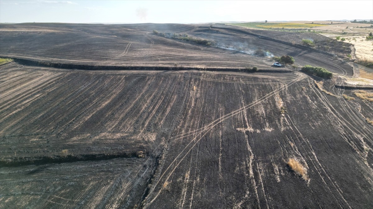 Tekirdağ'ın Hayrabolu ilçesinde çöplük alanda başlayıp anız ve biçilmemiş buğday tarlalarına...