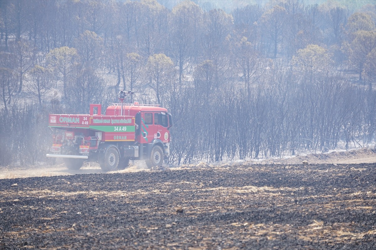 Tekirdağ'ın Şarköy ilçesinde ormanlık alanda çıkan yangın söndürülmeye çalışılıyor. Bölgeye...