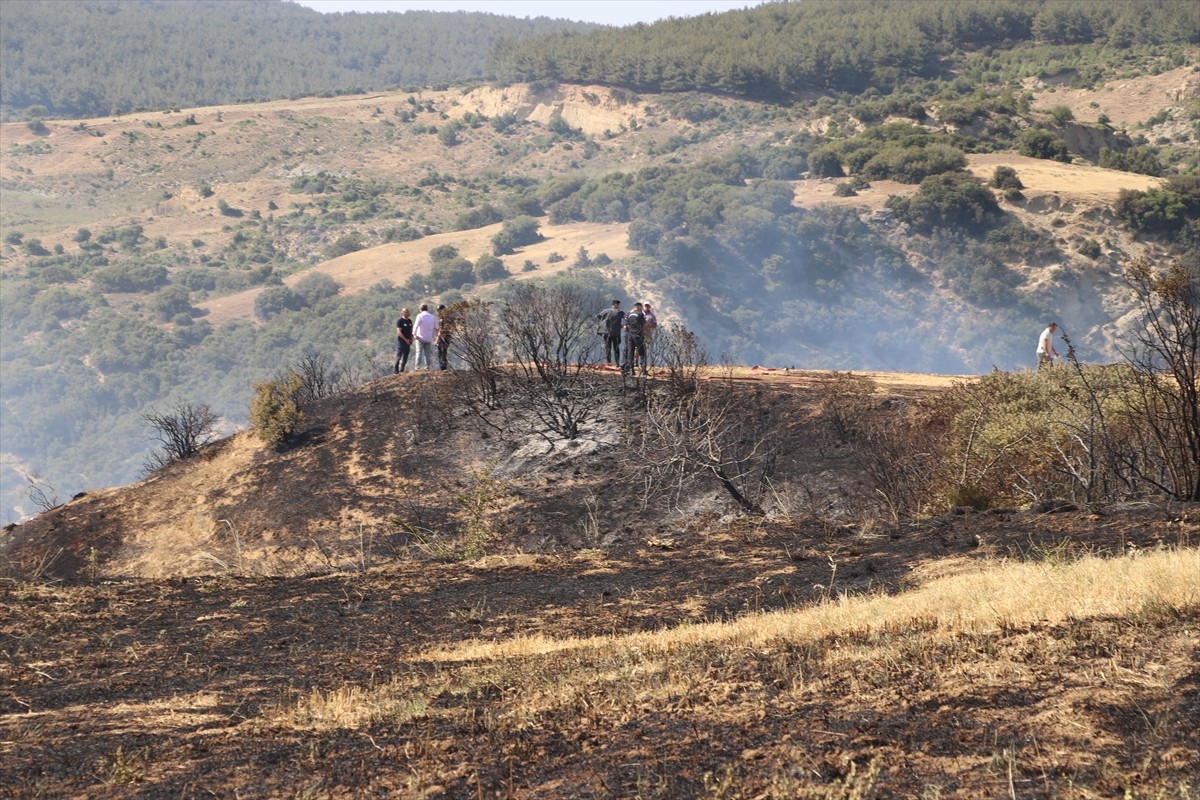 Tekirdağ'ın Şarköy ilçesinde otluk alanda başlayıp makiliğe sıçrayan yangın...