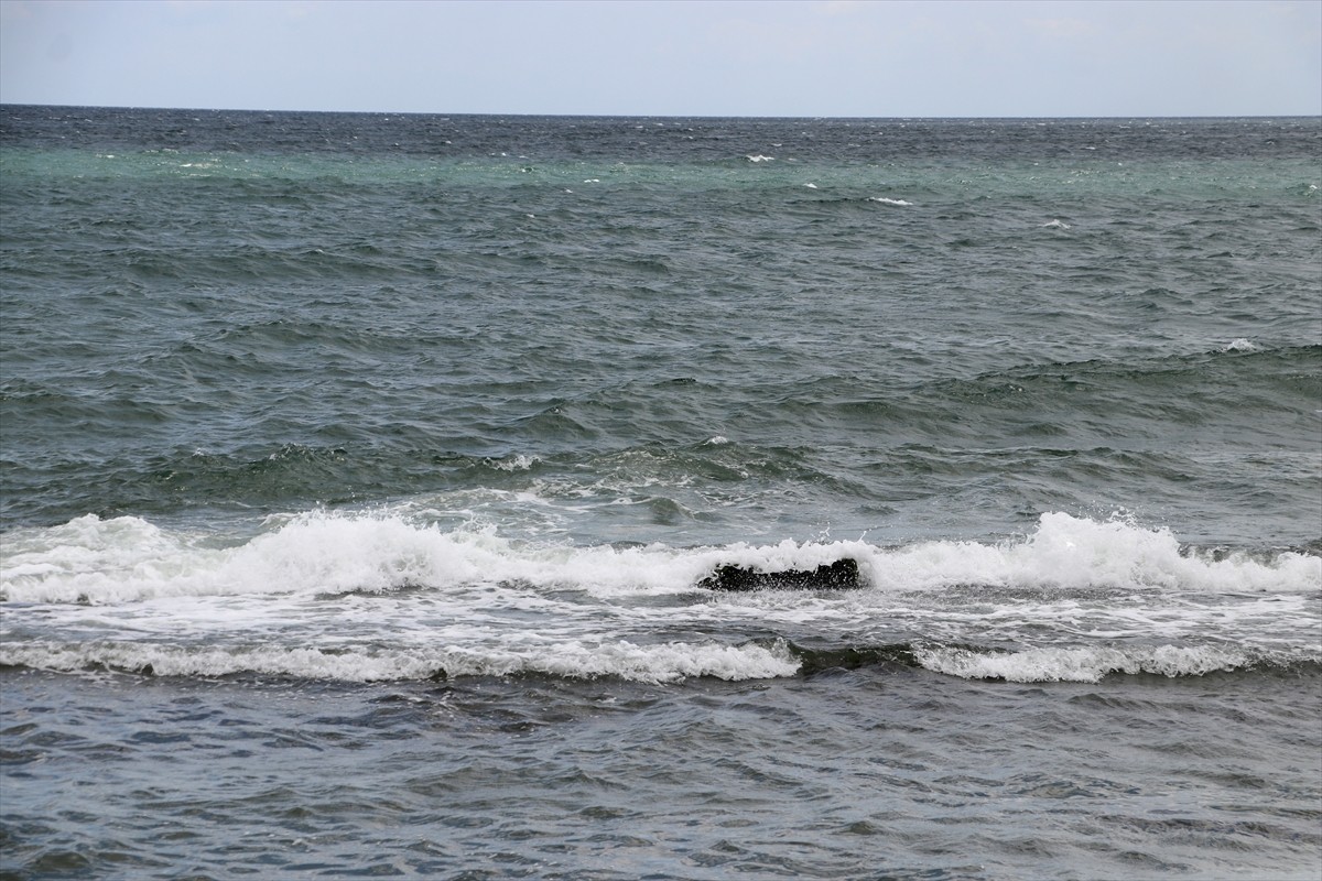 Tekirdağ'ın Şarköy, Süleymanpaşa ve Marmaraereğlisi ilçesindeki plajlarda şiddetli poyraz...