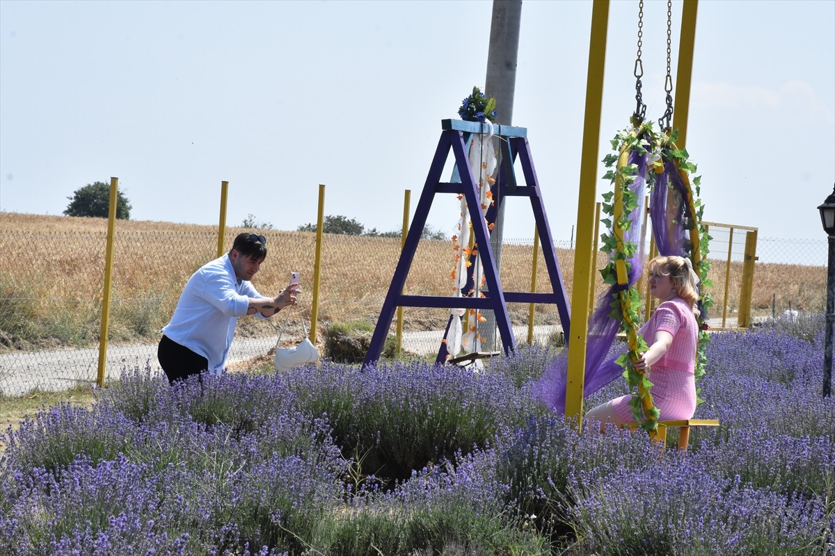 Tekirdağ’ın Çerkezköy ilçesinde mor renge bürünen lavanta bahçeleri, doğayla iç içe vakit geçirmek...