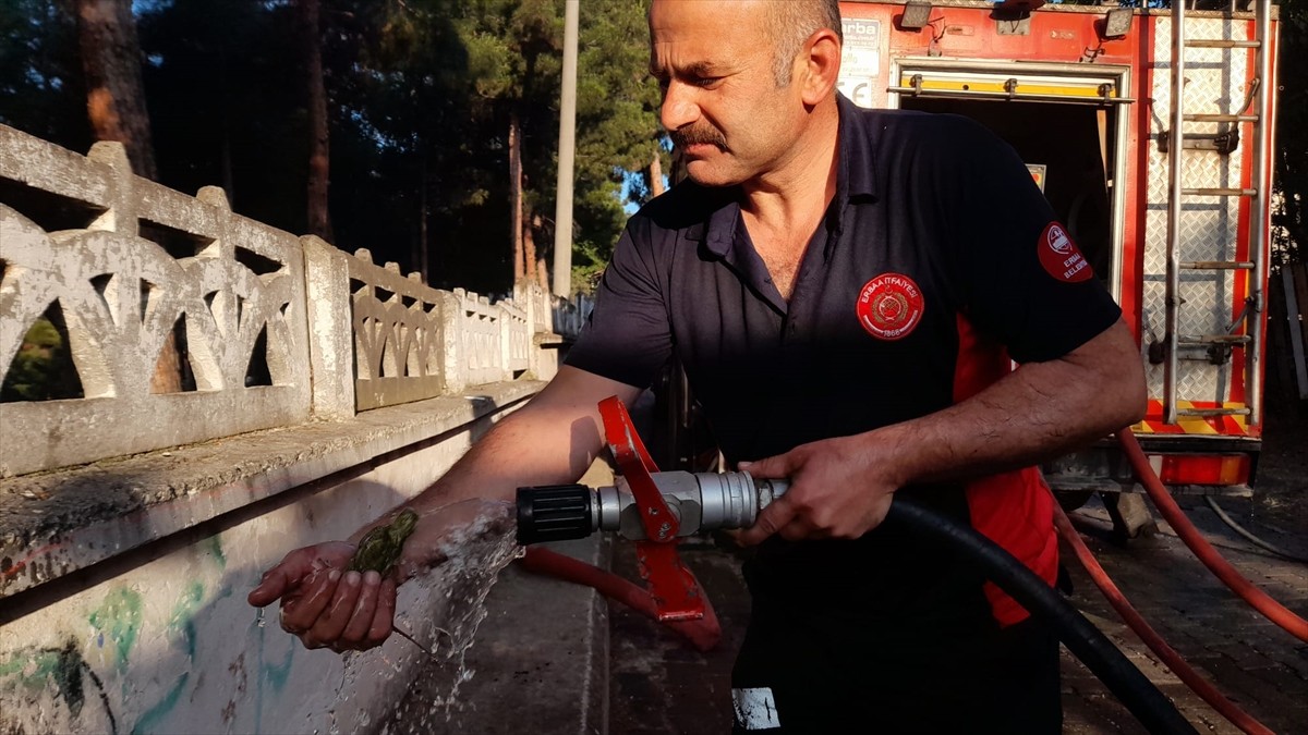 Tokat'ın Erbaa ilçesinde çıkan yangında 3 evde hasar meydana geldi, ekipler yangından etkilenen...