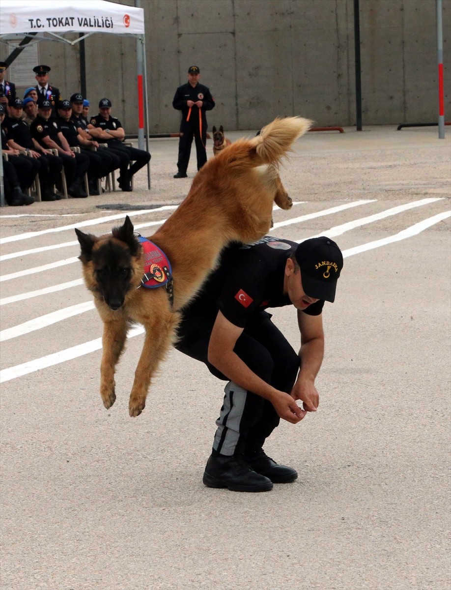 Tokat'ta Jandarma Teşkilatının 186'ncı yıl dönümü dolayısıyla İl Jandarma Komutanlığında tören...