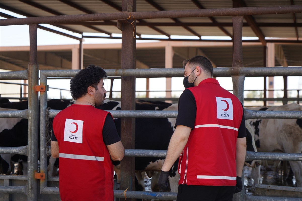 Türk Kızılay, kurban bayramında Irak’ın çeşitli kentlerinde ihtiyaç sahibi ailelere dokuz ton...