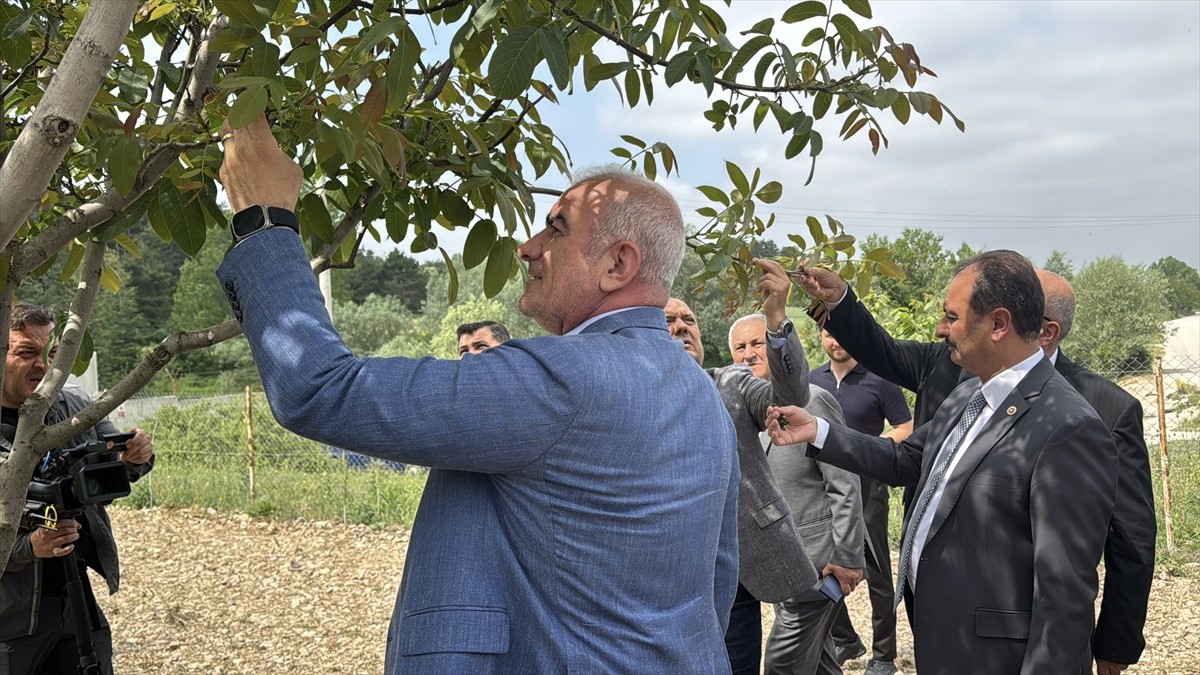 Türkiye Büyük Millet Meclisi (TBMM) Zirai Don Olayını Araştırma Komisyonu üyeleri, Bolu'da zirai...