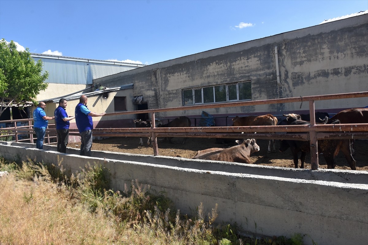 Türkiye Diyanet Vakfı (TDV), "Müminler ancak kardeştirler" ve "Kurbanını paylaş, kardeşinle...
