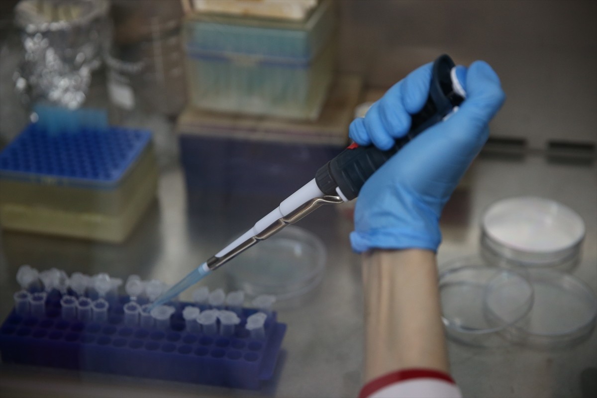 TURKOVAC aşısını geliştiren Erciyes Üniversitesi Aşı Araştırma ve Geliştirme Uygulama ve Araştırma...