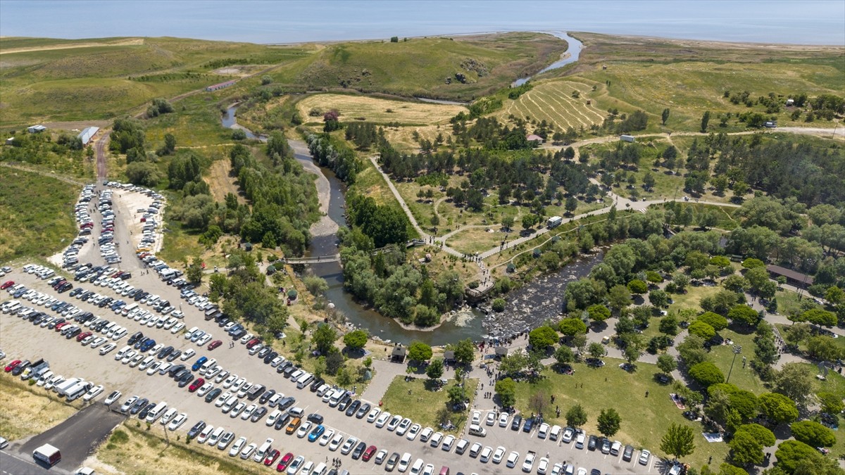 Van Gölü'nde yaşayan ve üreme döneminde tatlı sulara göç eden inci kefallerinin zorlu yolculuğunu...