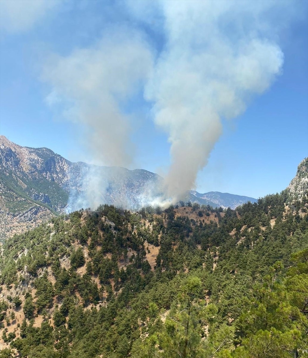 Adana'nın Kozan ilçesinde ormanlık alanda çıkan yangına havadan ve karadan müdahale ediliyor.