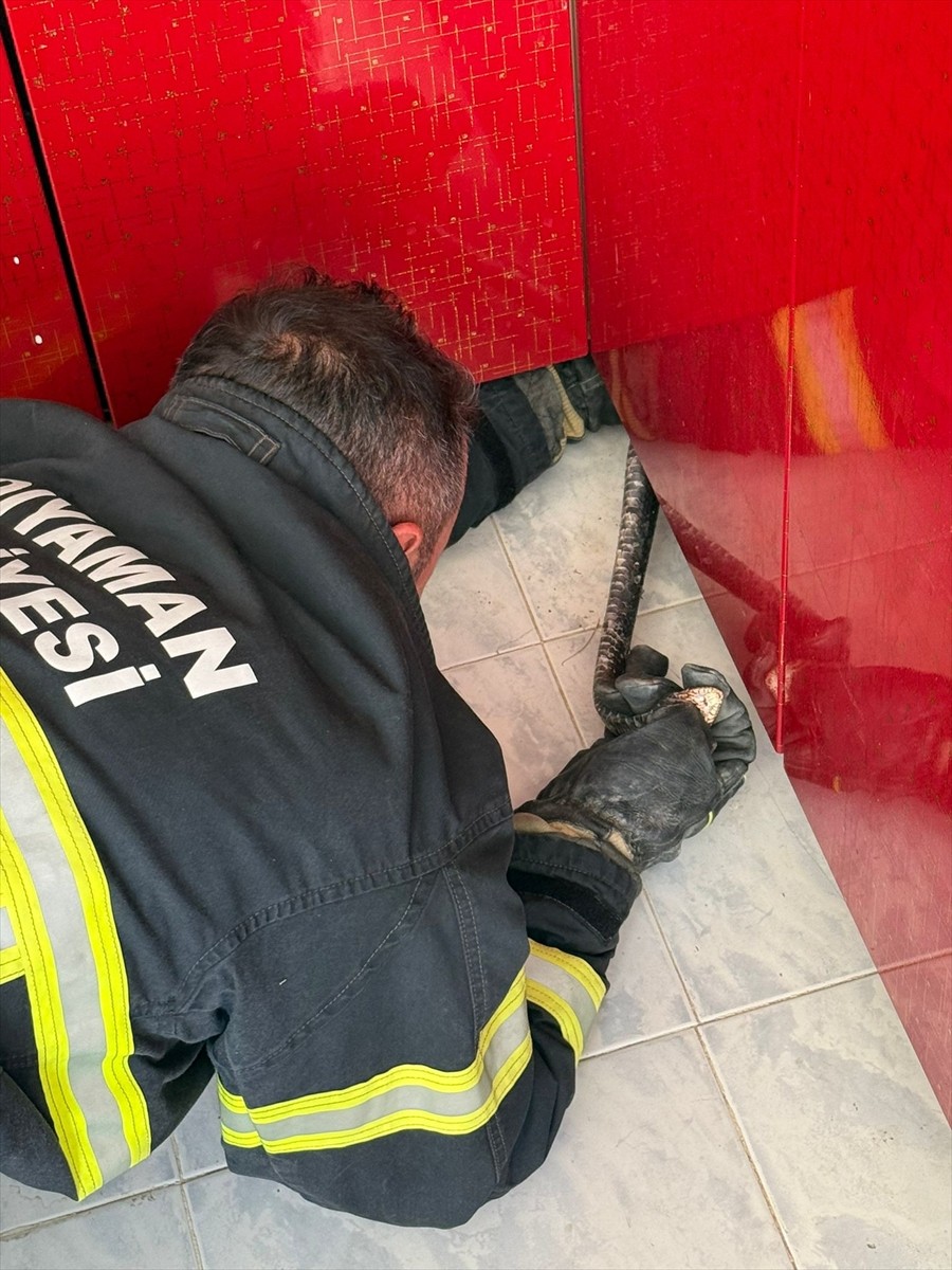  Adıyaman'da bir evin mutfağına giren yılan, itfaiye ekibince yakalandı.
