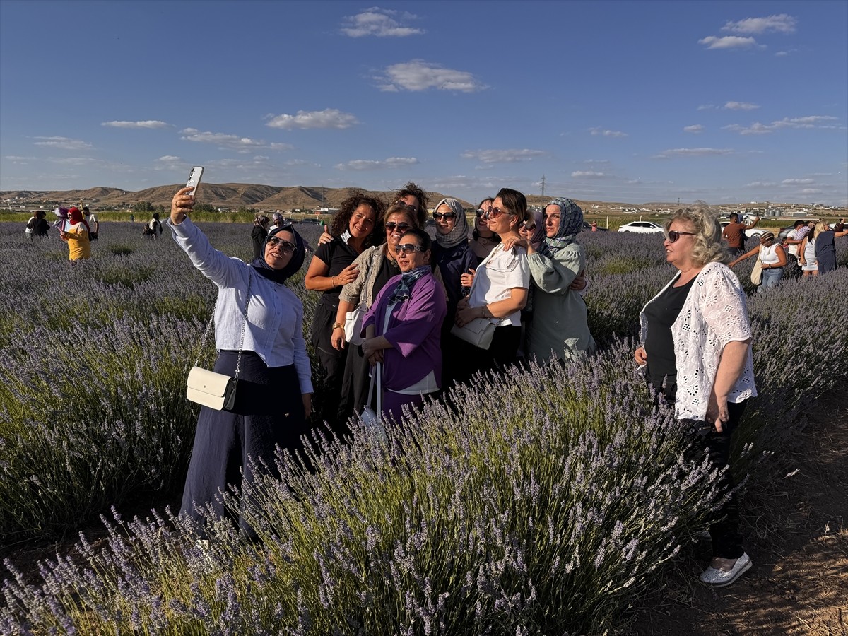 Aksaray Belediyesi'nin bu yıl üçüncüsünü düzenlediği "Morun En Güzel Tonlarına Yolculuk Günleri"...