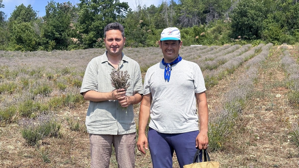 Antalya'da turizm sektöründe çalışan Emre Akıntürk'ün memleketi Kastamonu'nun Abana ilçesindeki...