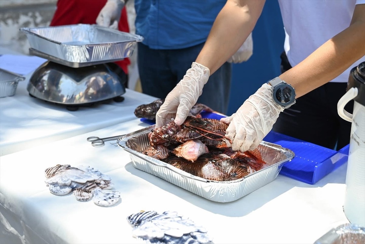 Antalya'nın Demre ilçesinde 1 Temmuz Denizcilik ve Kabotaj Bayramı etkinlikleri kapsamında "Aslan...
