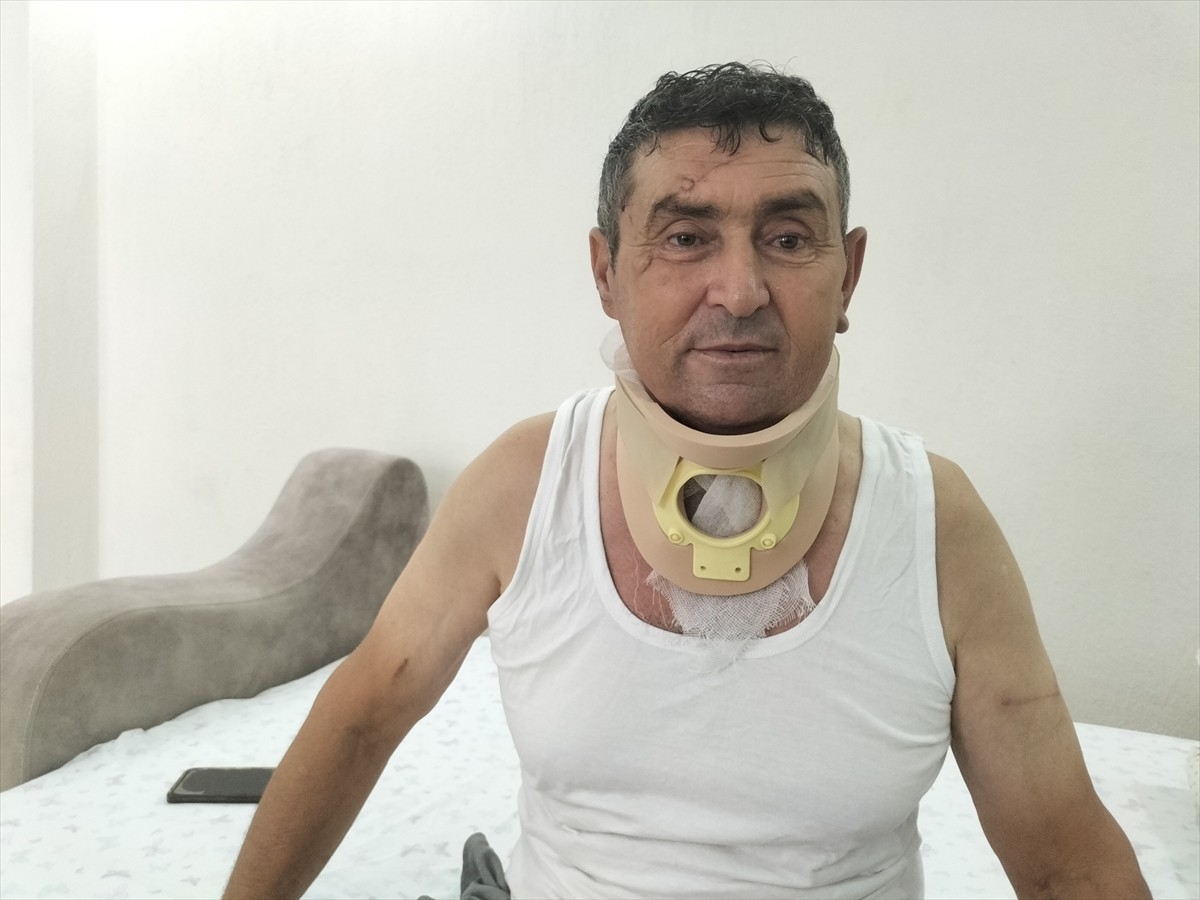 Antalya'nın Manavgat ilçesinde hayvan parkından kaçan aslanın saldırması sonucu yaralanan Süleyman...