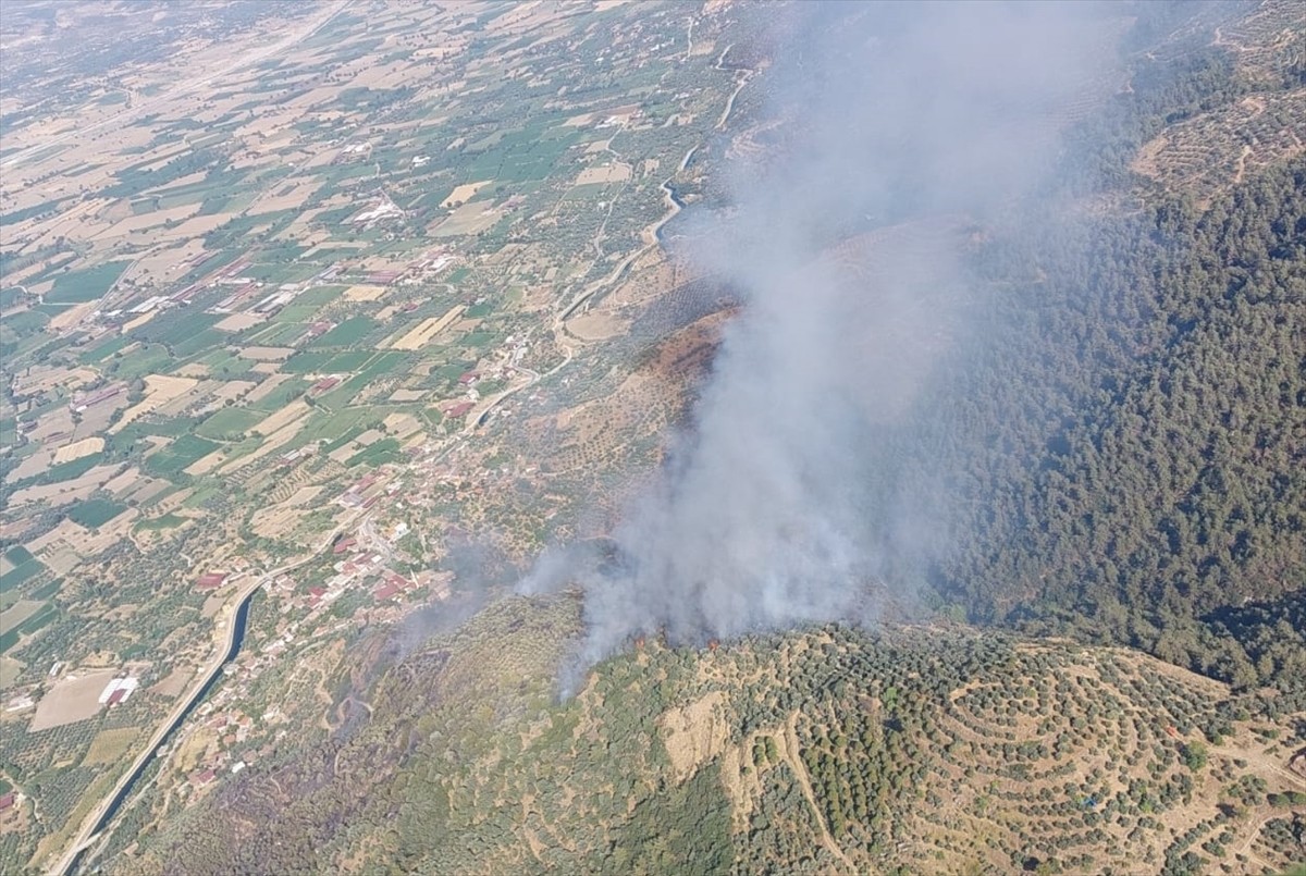 Aydın'ın Bozdoğan ilçesinde tarım alanında çıkan yangına havadan ve karadan müdahale ediliyor....
