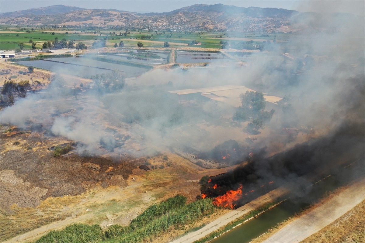  Aydın'ın Efeler ilçesinde otluk alanda çıkan yangın söndürüldü.