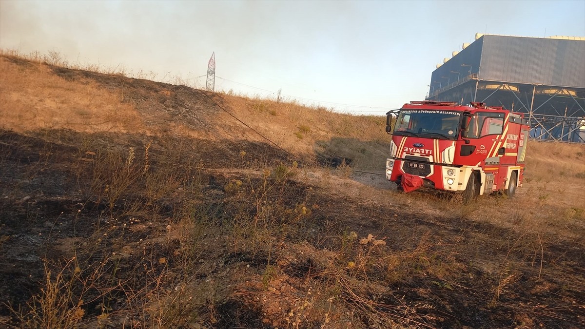 Balıkesir'in Bandırma ilçesinde çıkan arazi yangını kontrol altına alınmaya...