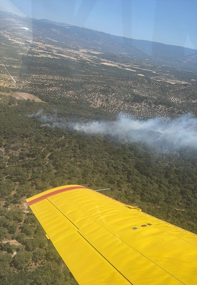 Balıkesir'in Burhaniye ilçesinde çıkan arazi ve orman yangınına, havadan ve karadan müdahale...