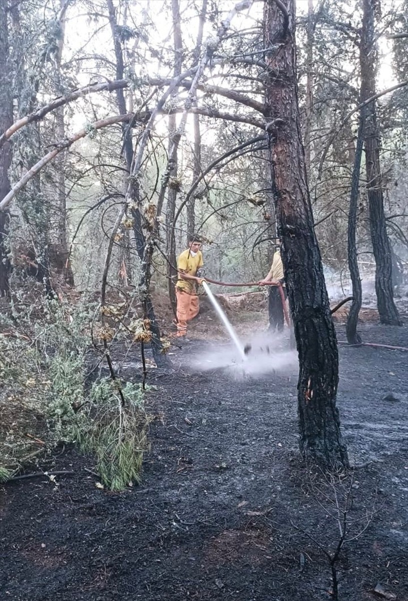 Balıkesir'in Dursunbey ilçesinde arazide başlayıp ormana sıçrayan yangın, kontrol altına...