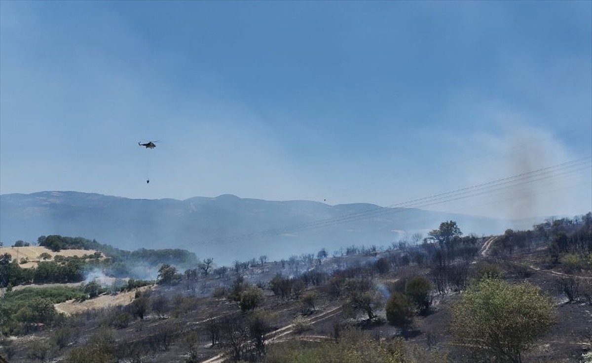 Balıkesir'in Savaştepe ilçesinde çıkan orman yangını söndürülmeye çalışılıyor.