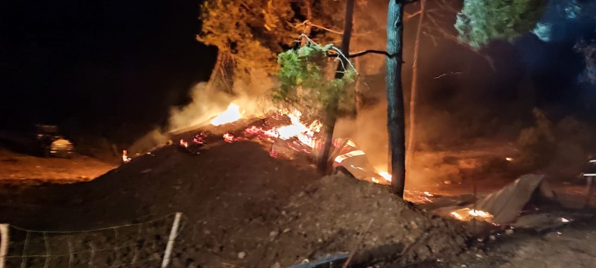 Bilecik'in Gölpazarı ilçesinde, çiftlikte başlayıp ormanlık alana sıçrayan yangını kontrol altına...