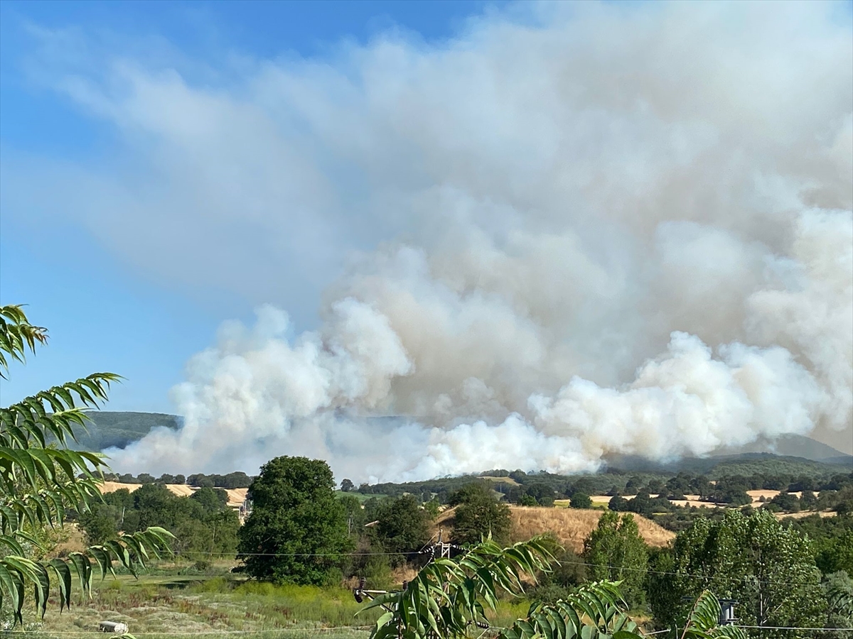 Bilecik'in Pazaryeri ilçesinde anızda başlayıp ormana sıçrayan yangına havadan ve karadan müdahale...
