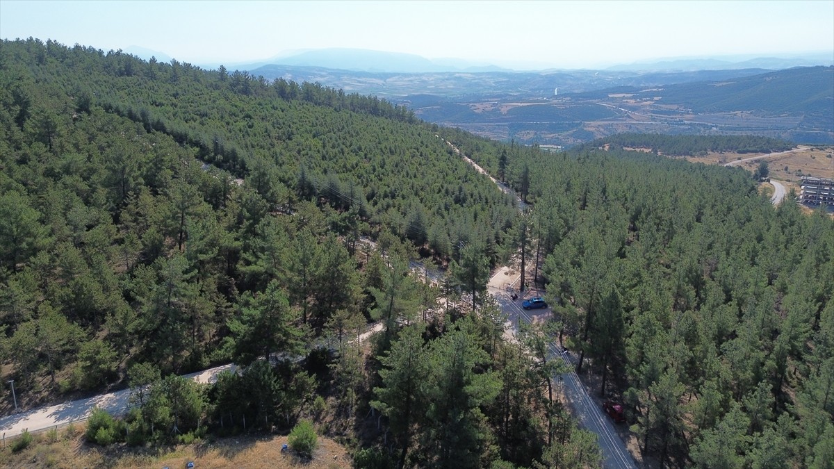 Bilecik Belediyesi tarafından orman yangınlarını önlemek ve toplumsal farkındalığı artırmak...
