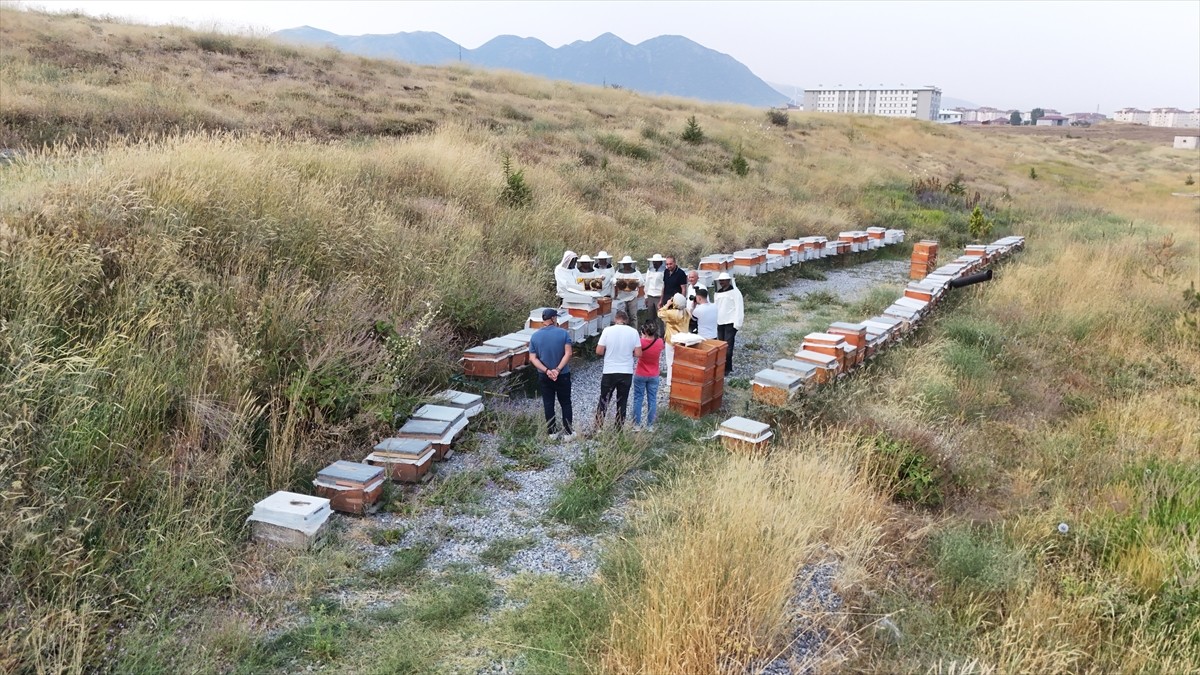 Bitlis Eren Üniversitesinin (BEÜ) Bilimsel Araştırma Projeleri Birimince desteklenen arıcılık...