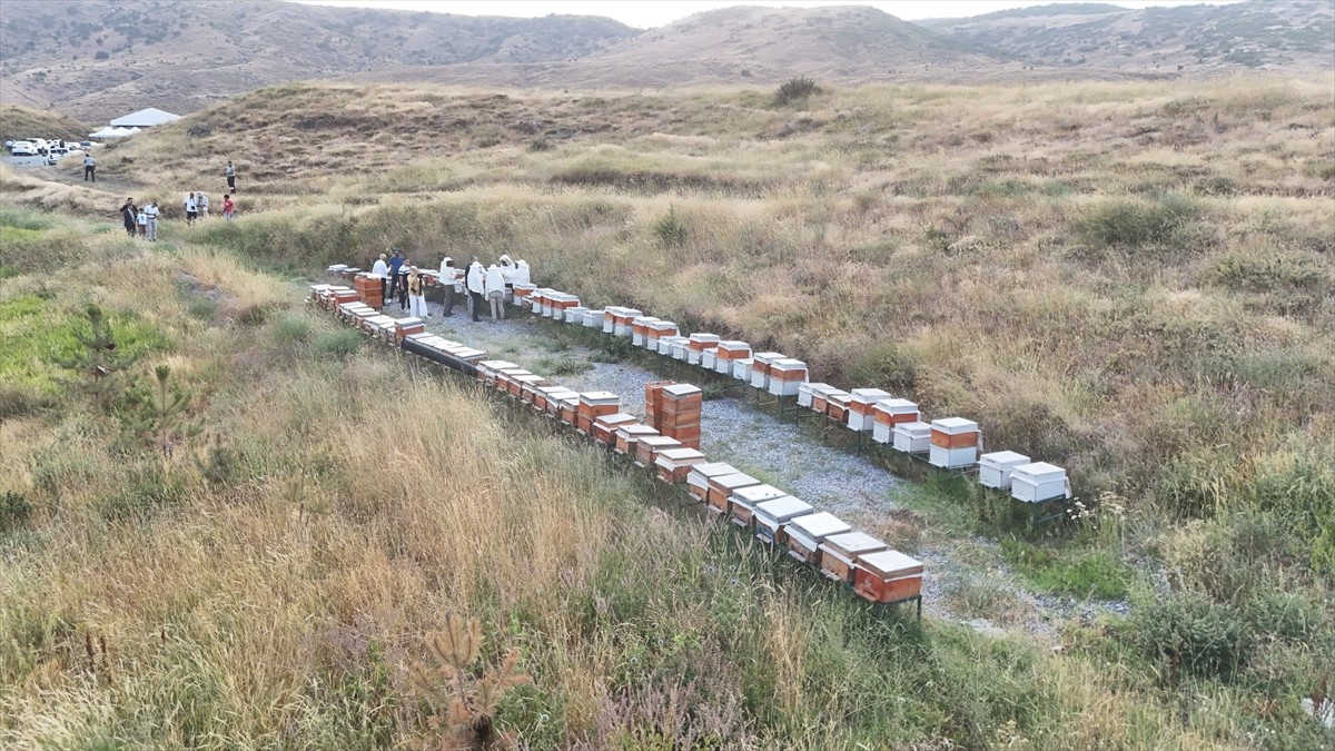 Bitlis Eren Üniversitesinin (BEÜ) Bilimsel Araştırma Projeleri Birimince desteklenen arıcılık...