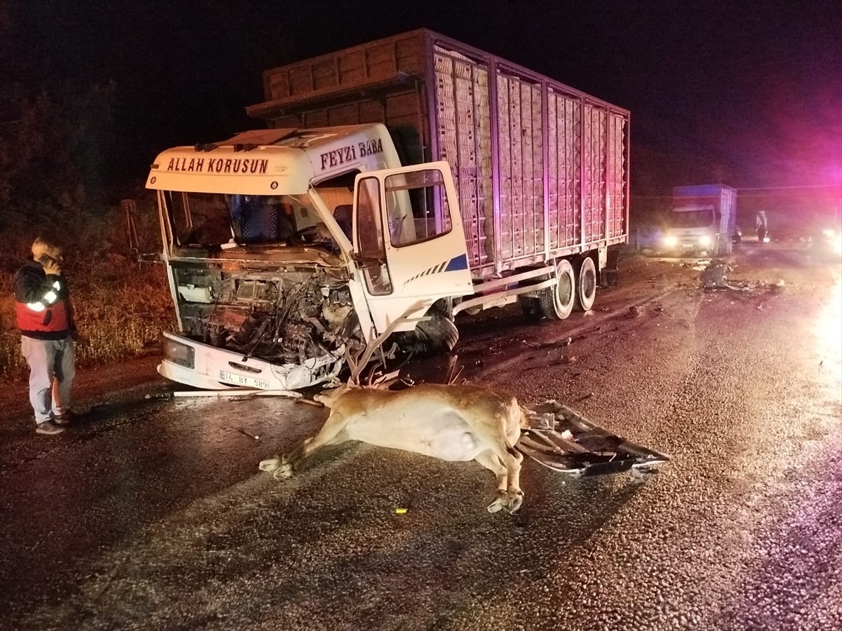 Bolu'nun Mudurnu ilçesinde yola çıkan geyiğin neden olduğu kazada 1 kişi hayatını kaybetti, 1 kişi...