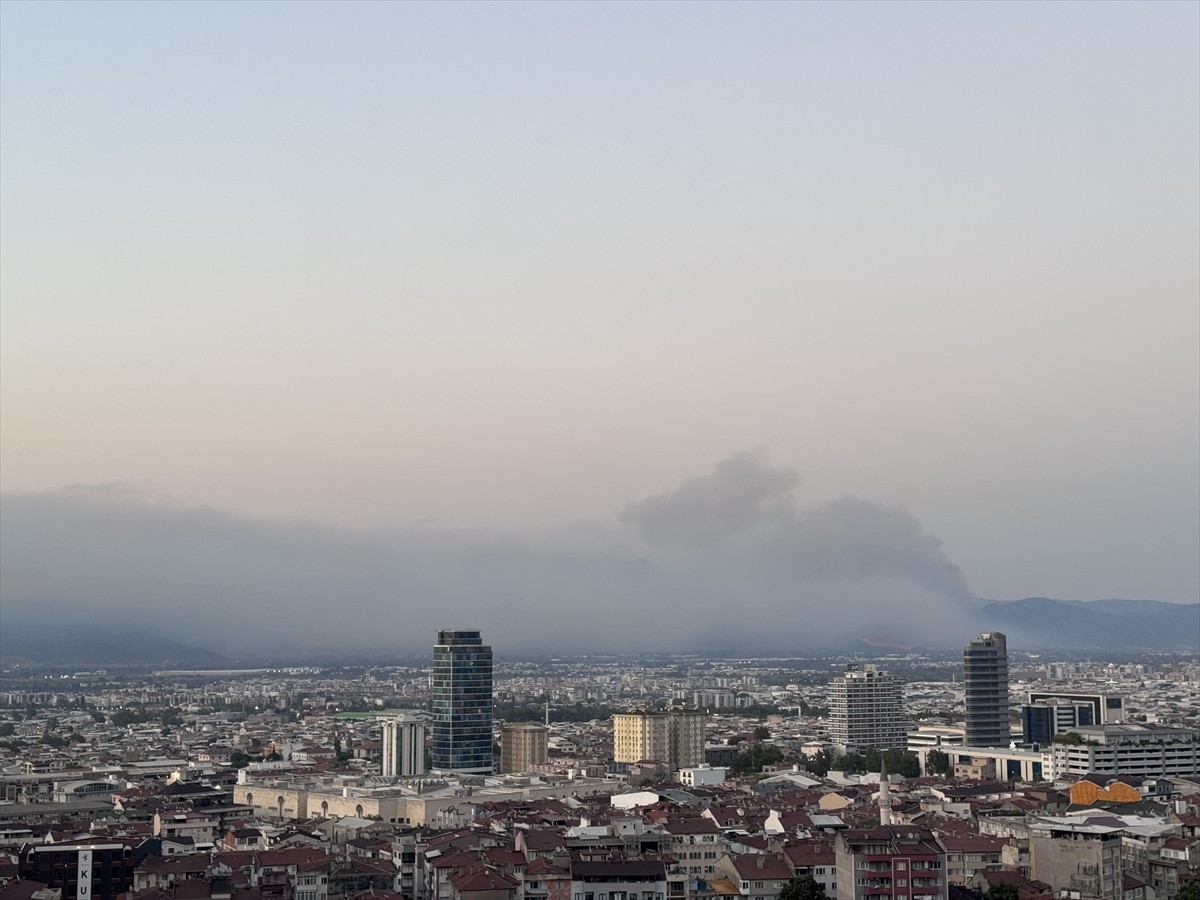Bursa'nın Gürsu ve Kestel ilçeleri arasındaki ormanlık alanda çıkan yangına müdahale ediliyor....