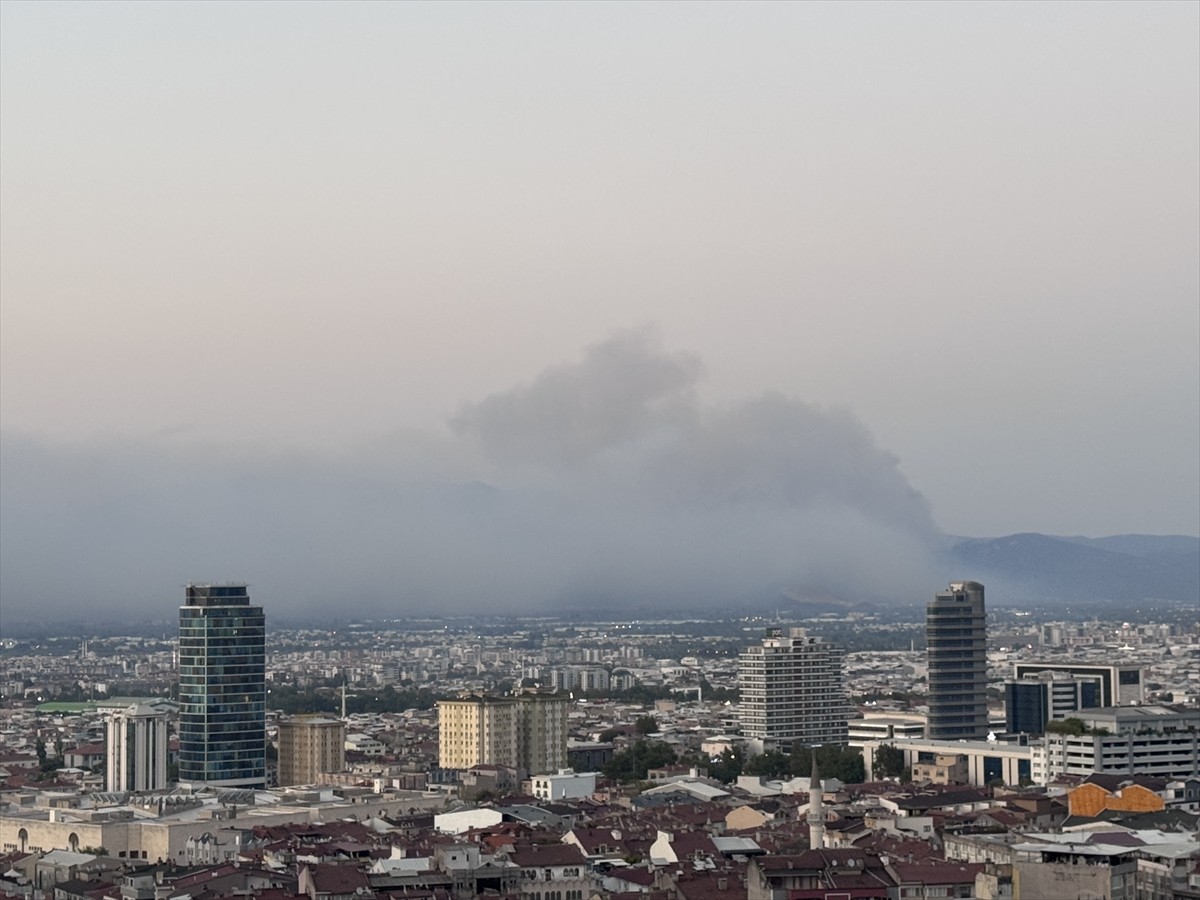 Bursa'nın Gürsu ve Kestel ilçeleri arasındaki ormanlık alanda çıkan yangına müdahale ediliyor....