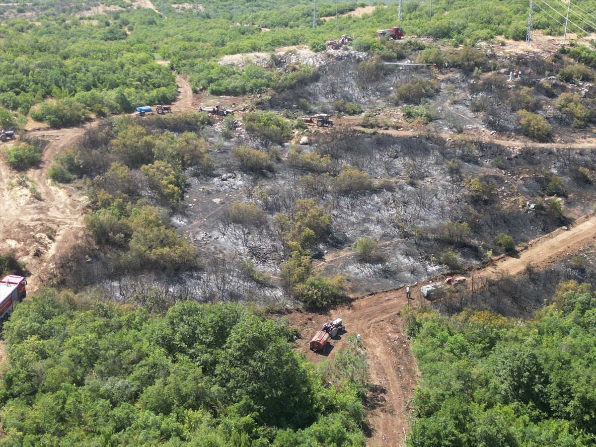 Bursa'nın İnegöl ilçesinde ormanlık alanda çıkan yangın, havadan ve karadan müdahaleyle kontrol...